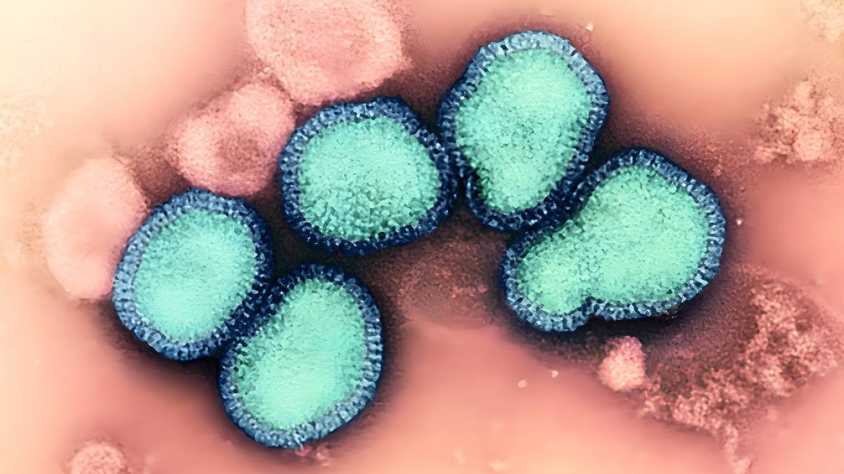 Chřipková sezona v Evropě začala dřív. Rychle se šíří nový podtyp viru